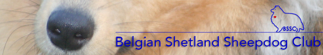Belgian Shetland Sheepdog Club