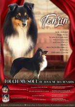 Présentation de Tenzin