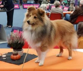 Jess Limirle Guy Sweet