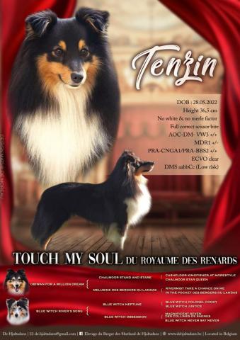 Présentation de Tenzin